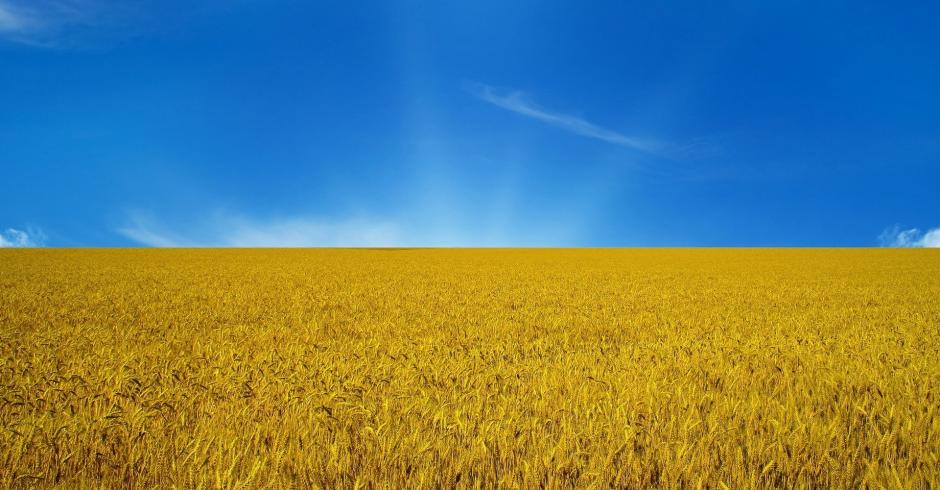 Украина. Фото с agroinfo.com