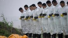 Трагедия на реке Янцзы: минута молчания - фото EPA